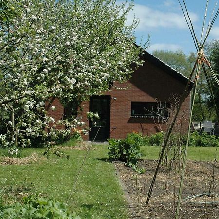 Gastenverblijf Op Het Graveland Zevenhuizen  Exterior foto