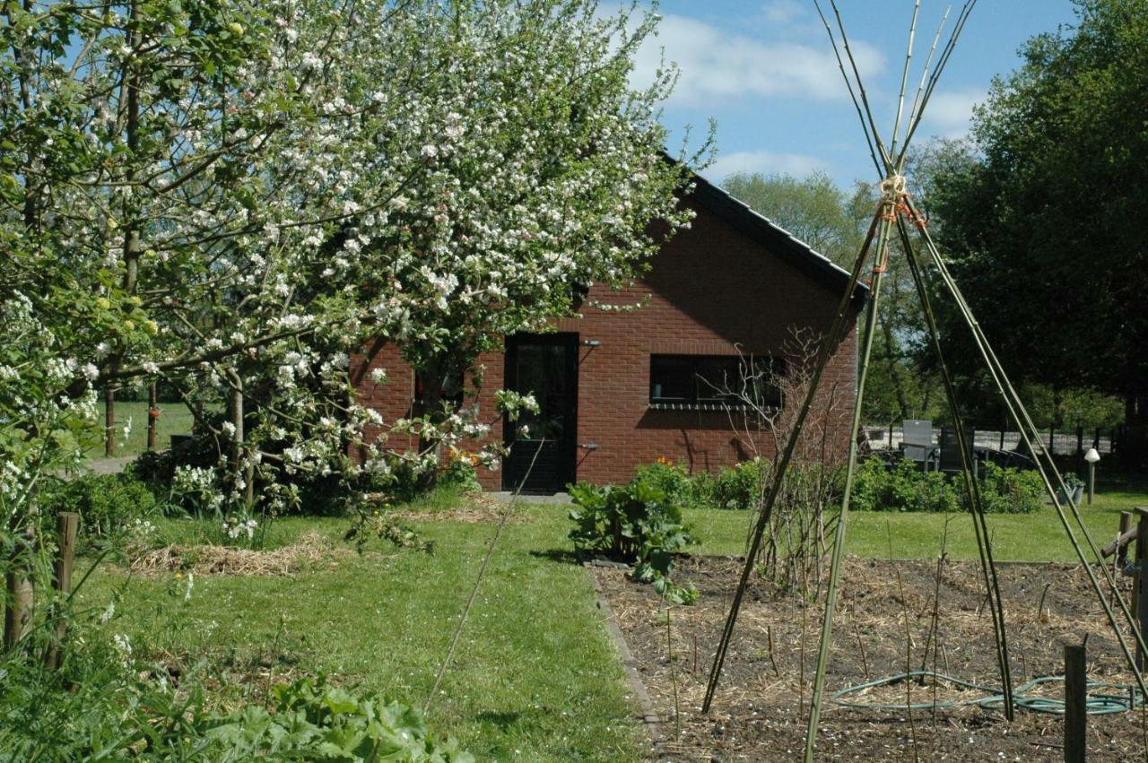 Gastenverblijf Op Het Graveland Zevenhuizen  Exterior foto