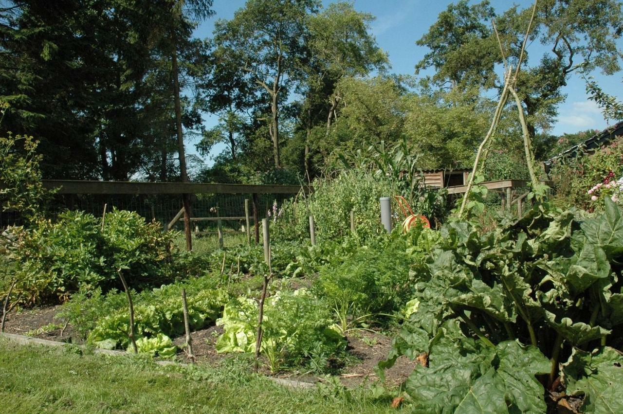 Gastenverblijf Op Het Graveland Zevenhuizen  Exterior foto