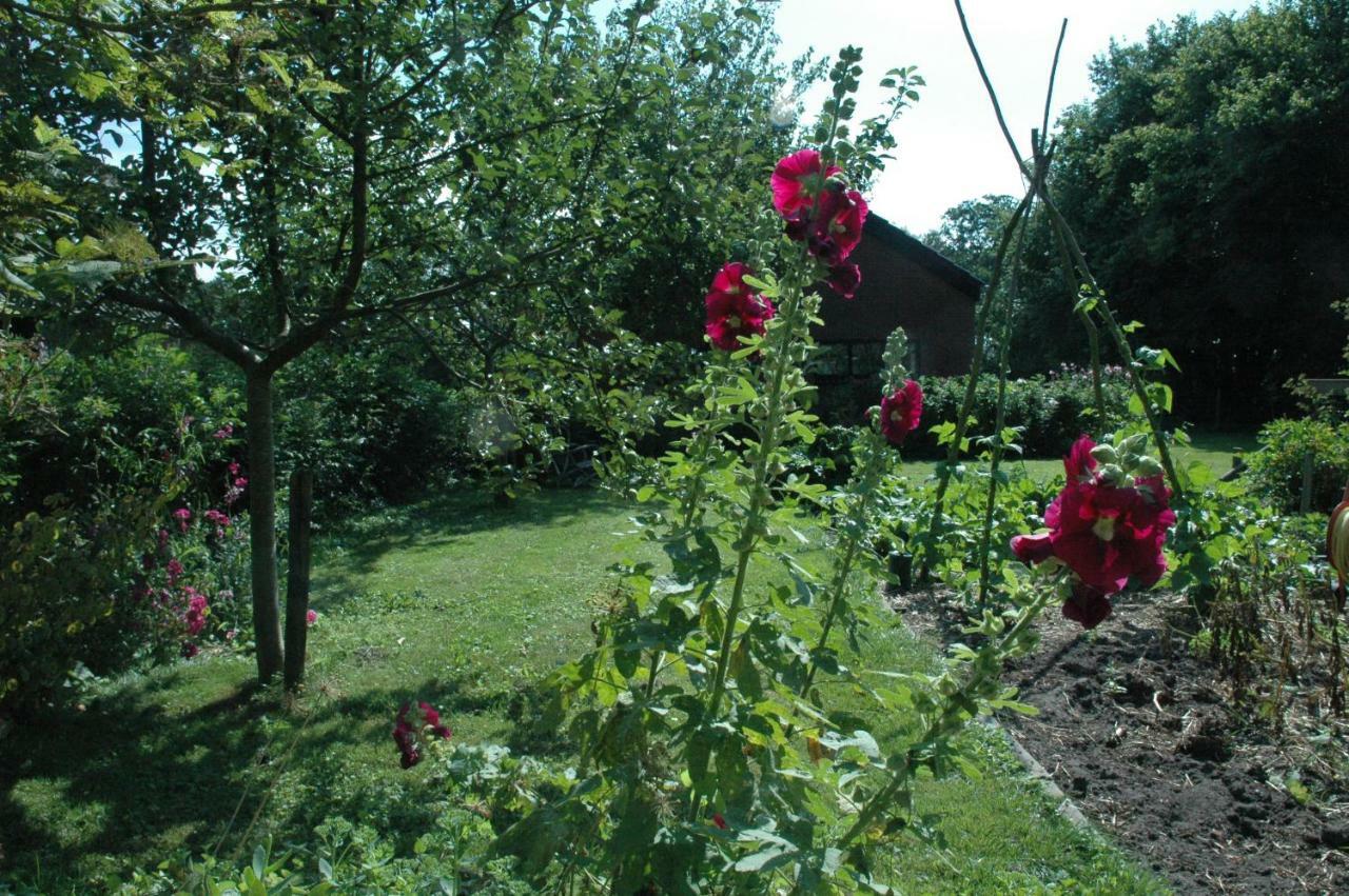 Gastenverblijf Op Het Graveland Zevenhuizen  Exterior foto