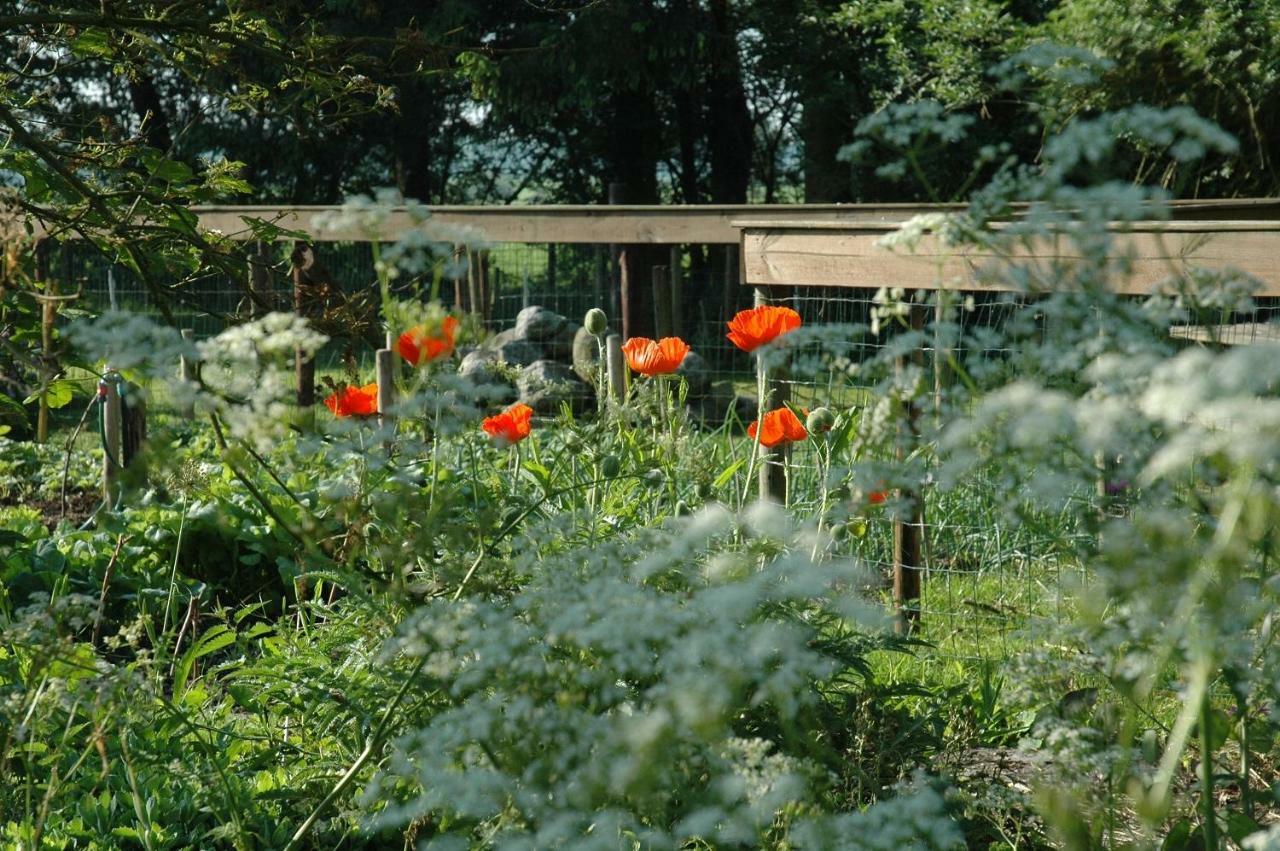 Gastenverblijf Op Het Graveland Zevenhuizen  Exterior foto