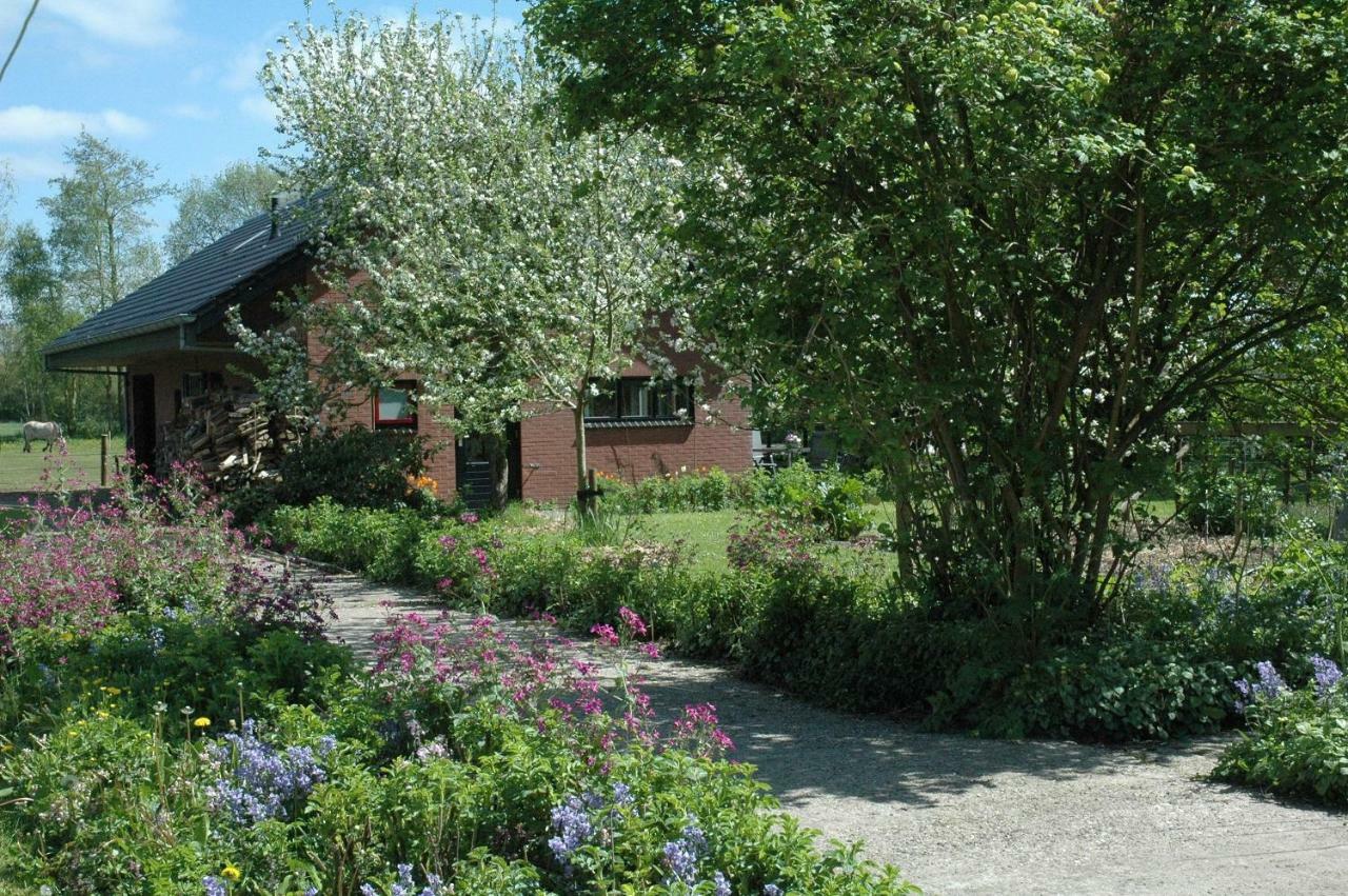 Gastenverblijf Op Het Graveland Zevenhuizen  Exterior foto