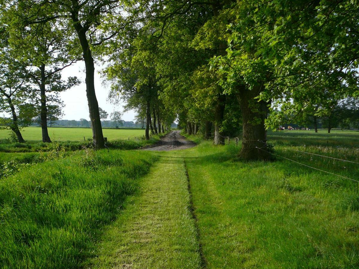 Gastenverblijf Op Het Graveland Zevenhuizen  Exterior foto